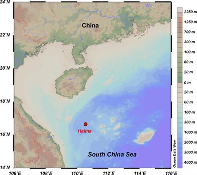 Archives of short-term fluid flow dynamics and possible influence of human activities at methane seeps: Evidence from high-resolution element geochemistry of chemosynthetic bivalve shells